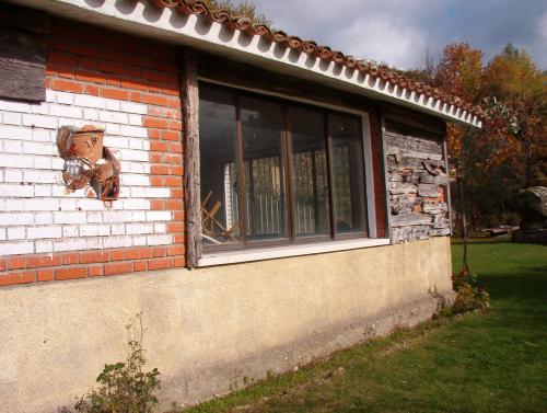 Foto1
